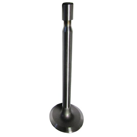 Intake Valve